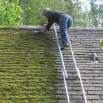 massy-roofing cleaning project 14