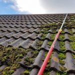 massy-roofing cleaning project 18