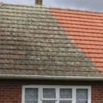 massy-roofing cleaning project 2