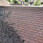 massy-roofing cleaning project 3