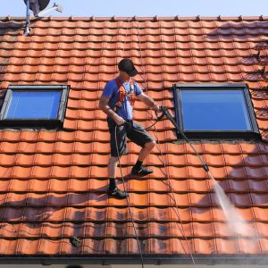 roof cleaning service houston